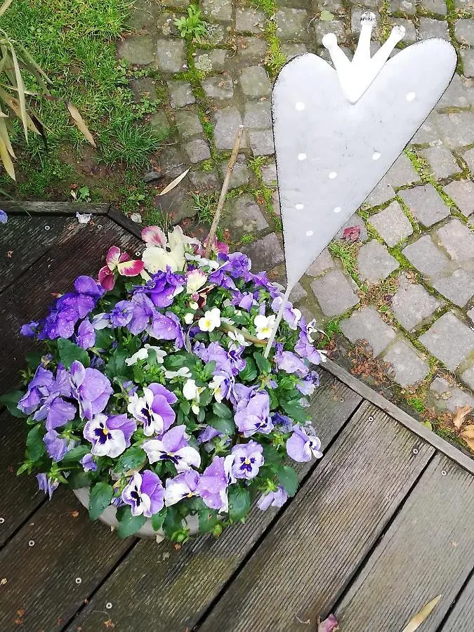 Idylische Ferienwohnung Schollbrunn 0*,  Germany